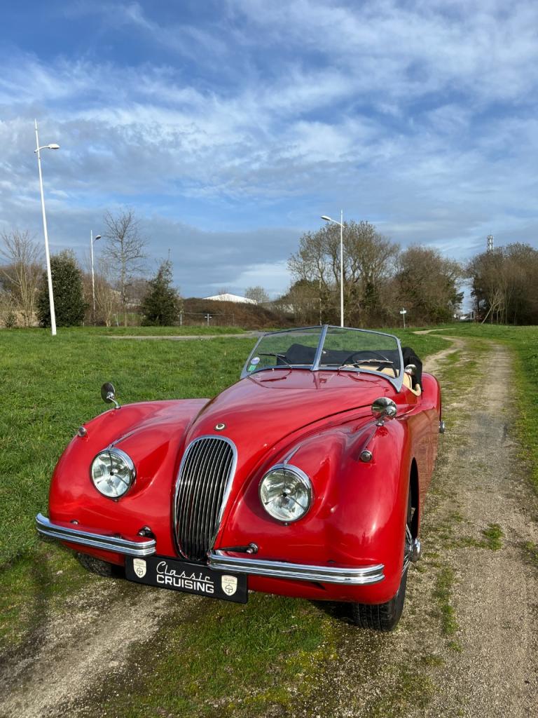 JAGUAR XK120 Roadster - 1954 LesAnciennes.com