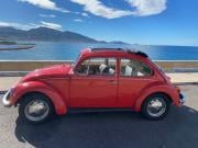 image_3-VOLKSWAGEN Coccinelle 1200 - 1976