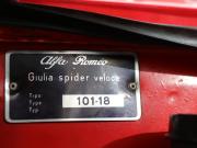 image_24-ALFA ROMEO Giulia Spider 1600 Veloce - 1965