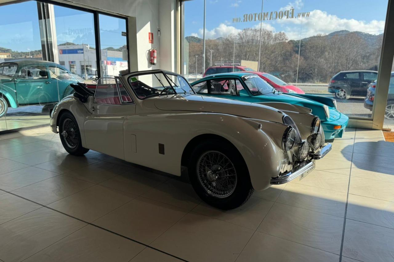JAGUAR XK120 - 1952 LesAnciennes.com