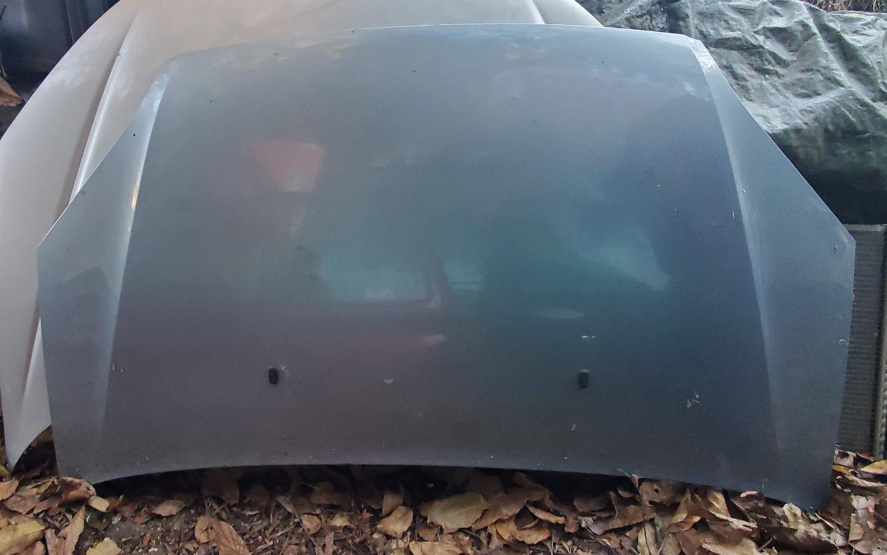 Capot FORD FOCUS C-MAX en excellent état LesAnciennes.com