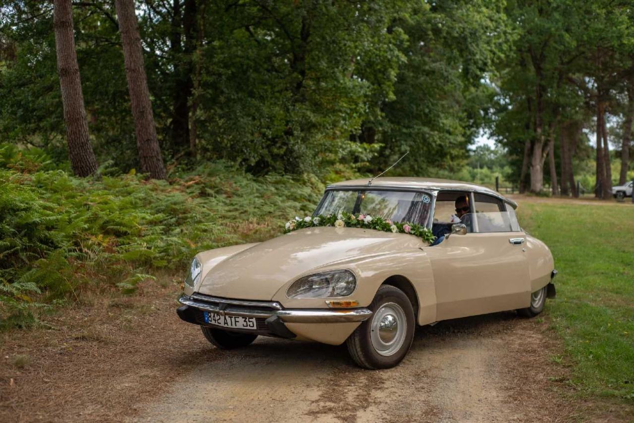 CITROEN DS D Super - 1973 LesAnciennes.com