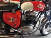 image_2-BSA A65 650 Firebird - 1967