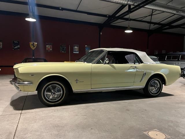 FORD Mustang 289 - 1965 LesAnciennes.com