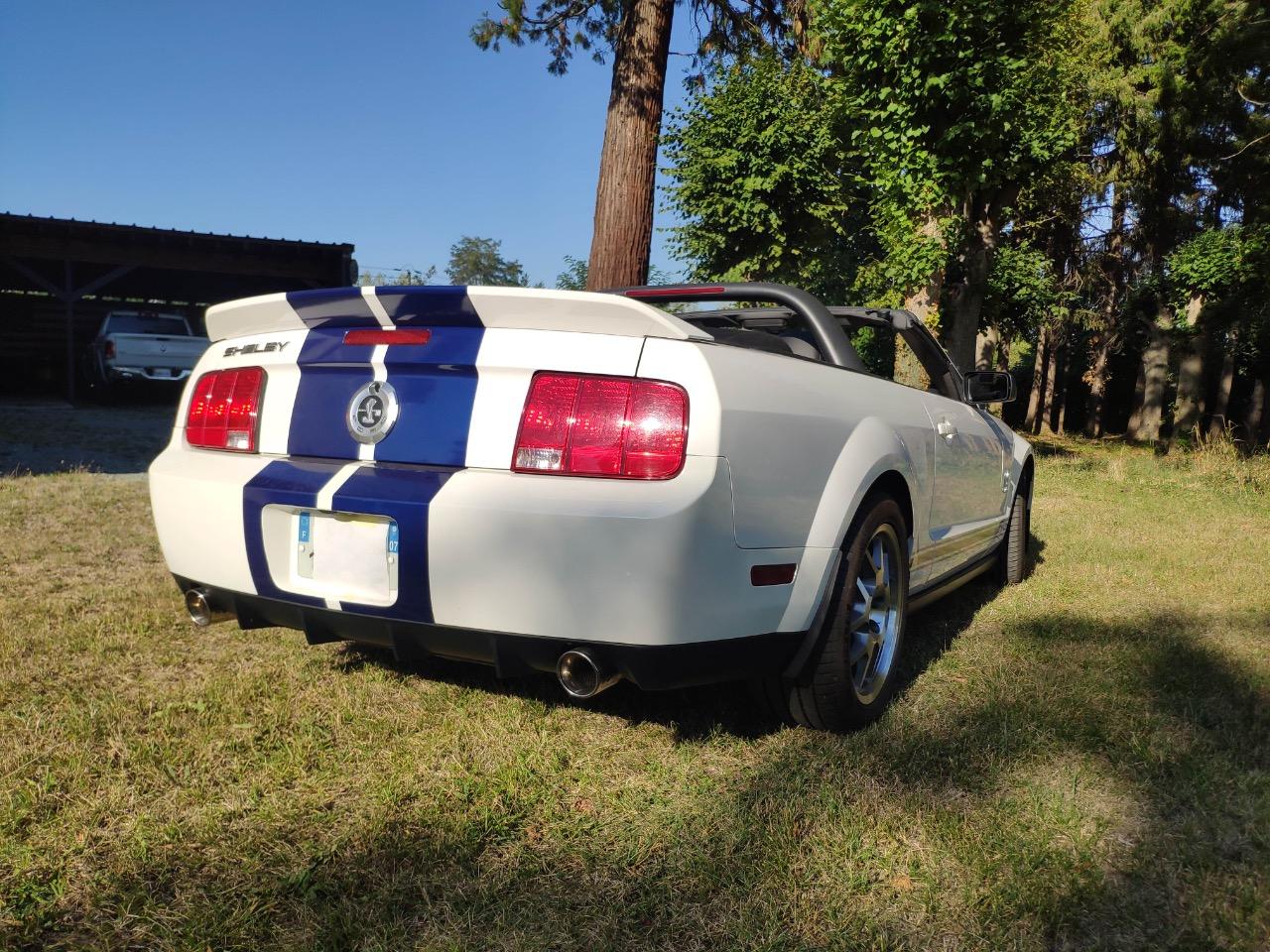 FORD Mustang Shelby GT 500 - 2007 LesAnciennes.com