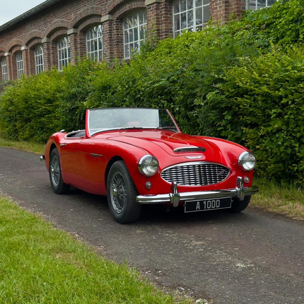 AUSTIN HEALEY 100 BN6 - 2 places - 1958 LesAnciennes.com