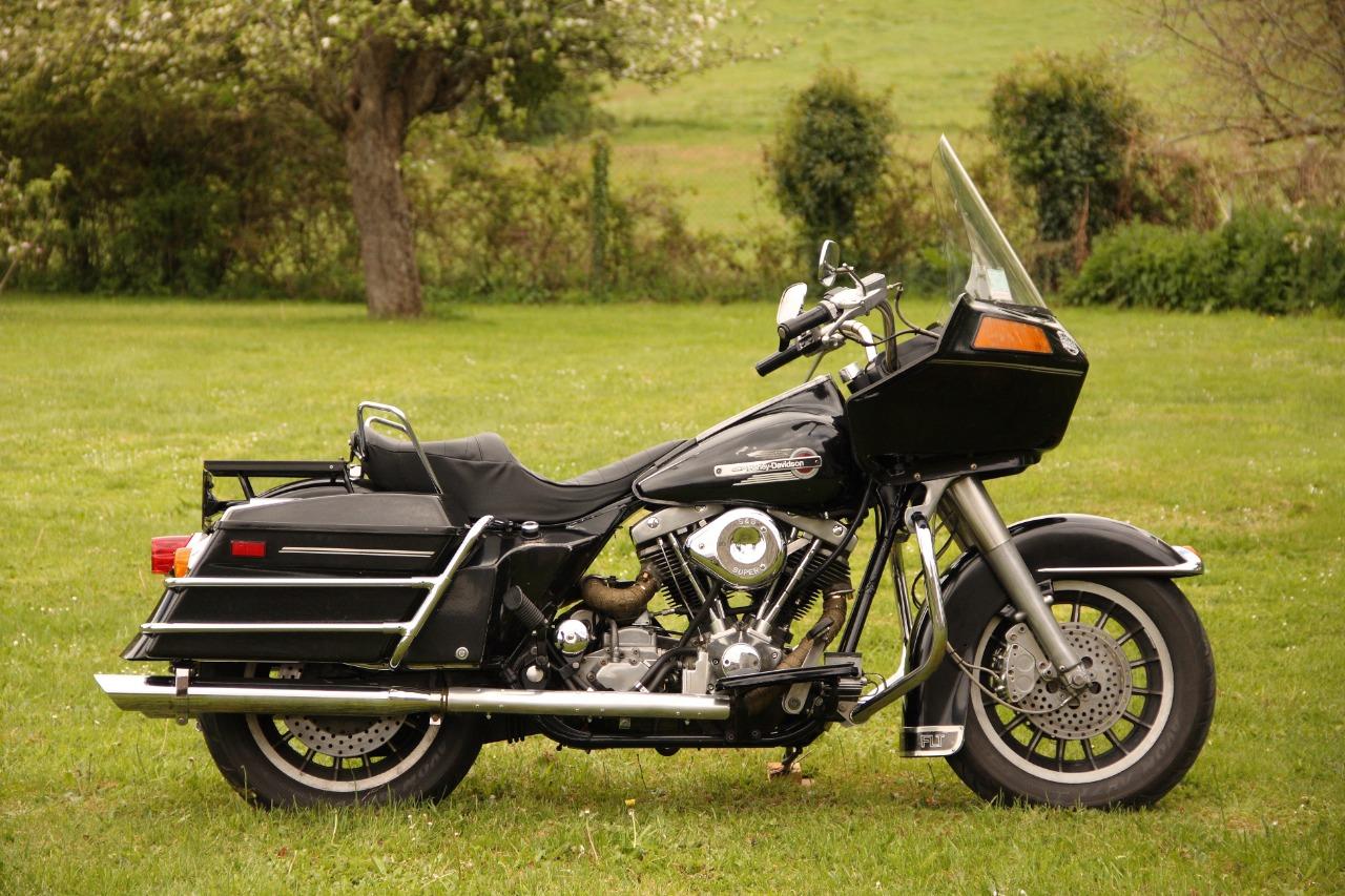 HARLEY DAVIDSON FLT SHOVELHEAD - 1981 LesAnciennes.com