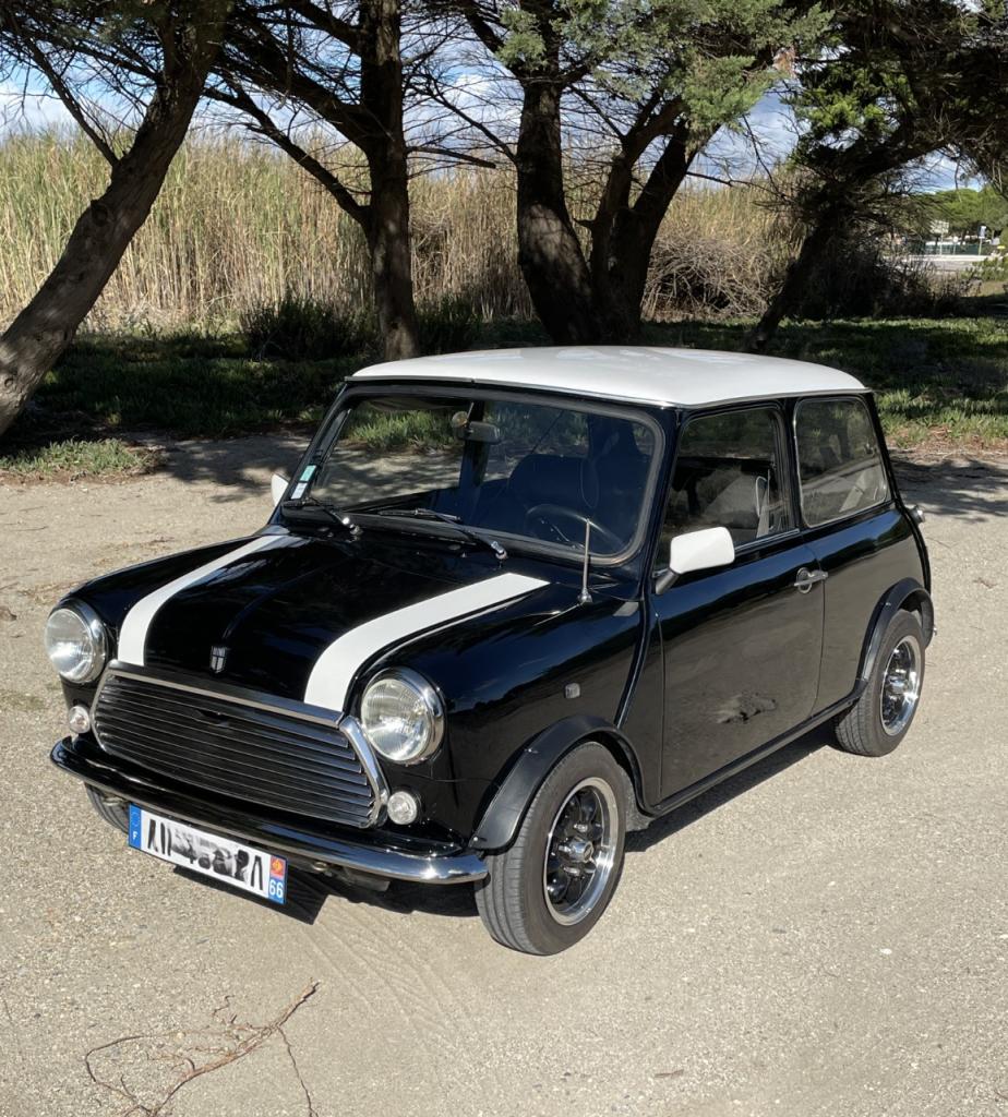 AUSTIN Mini 1000 - 1989 LesAnciennes.com