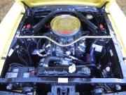 image_4-FORD Mustang FORD MUSTANG FASTBAC - 1966