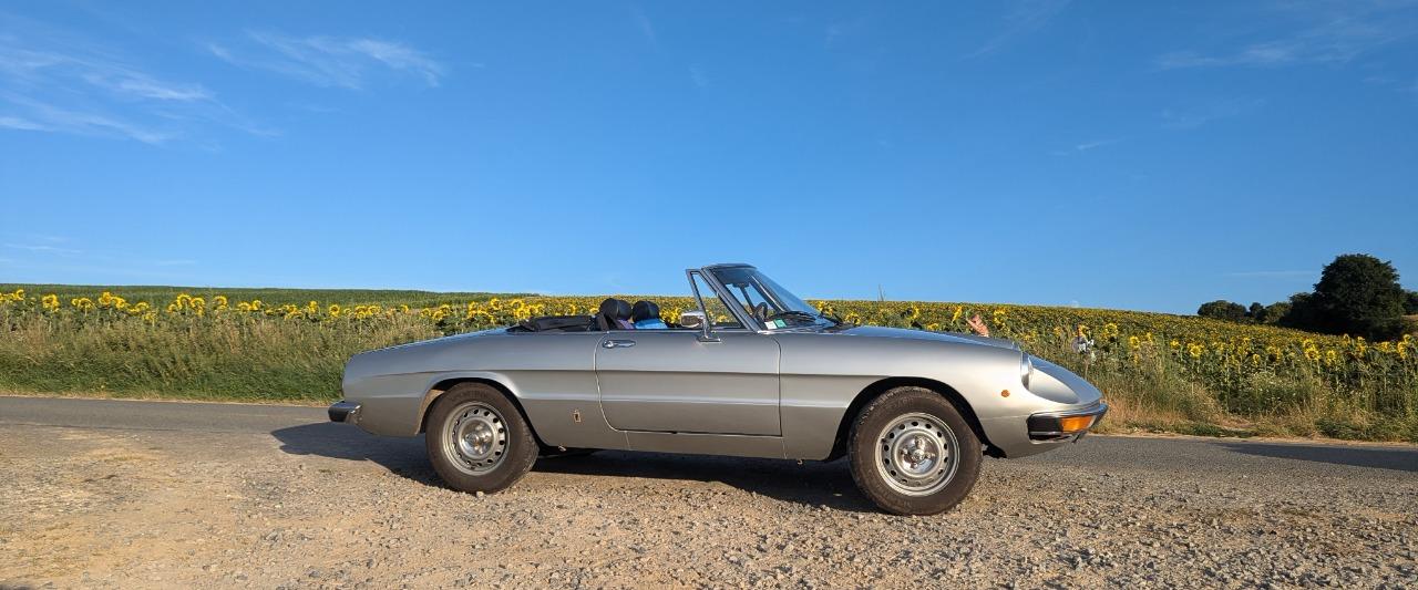 ALFA ROMEO Spider 2000 - 1982 LesAnciennes.com