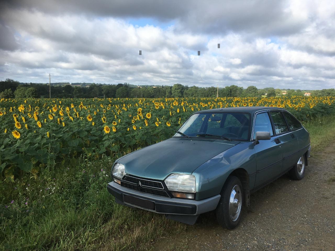 CITROEN GSA pallas - 1979 LesAnciennes.com