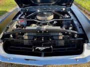 image_65-FORD Mustang COUPE - 1967