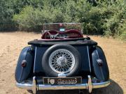 image_4-MG TF Roadster - 1955
