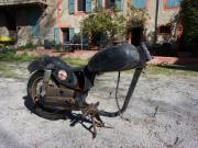 image_0-PUCH SG 250