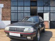 image_0-PEUGEOT 205 GTI 1.9 Litres - 1993