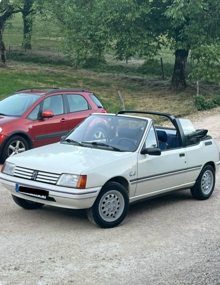 PEUGEOT 205 - 1989 LesAnciennes.com