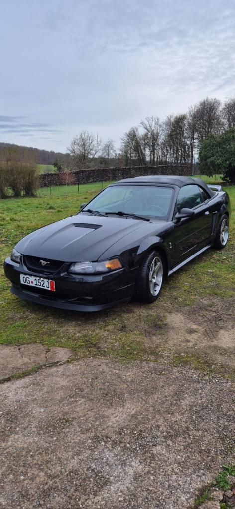 FORD Mustang - 2000 LesAnciennes.com