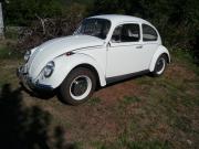 image_5-VOLKSWAGEN Coccinelle - 1967