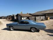 image_3-PONTIAC GTO - 1966