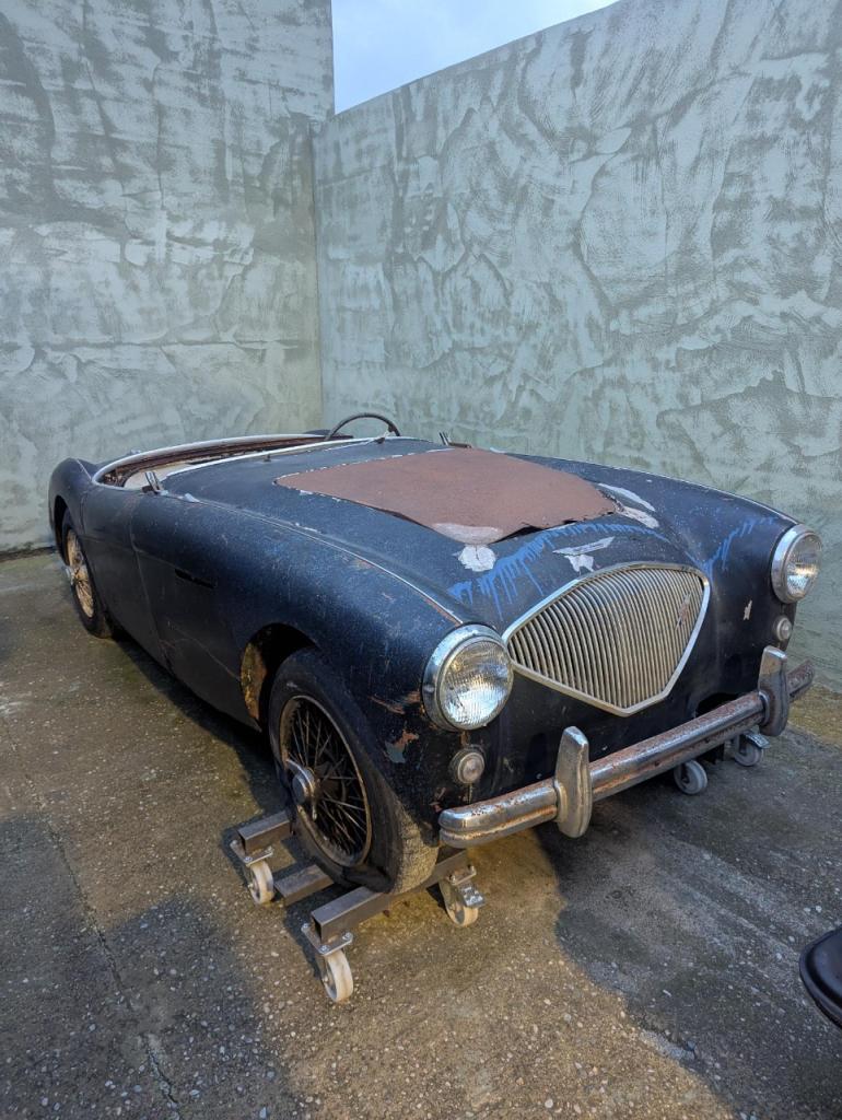 AUSTIN HEALEY 100 BN1 - 1954 LesAnciennes.com