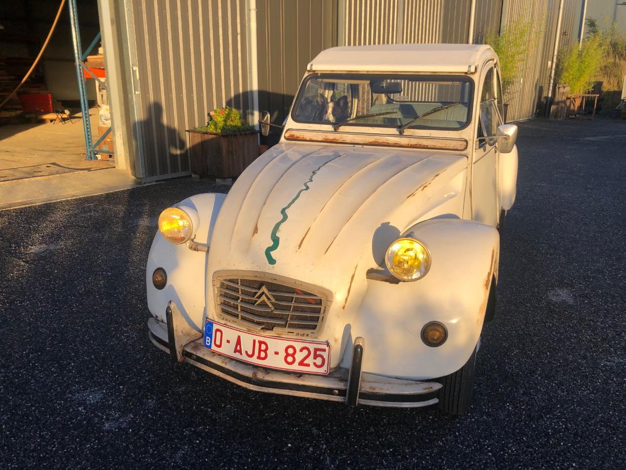 CITROEN 2CV PERRIER singe FOU - 1989 LesAnciennes.com