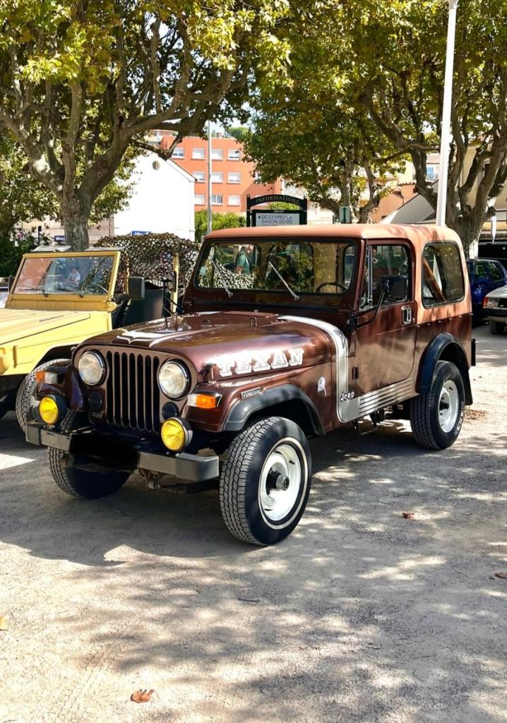 JEEP CJ 7 Cj7 Diesel - 1982 LesAnciennes.com