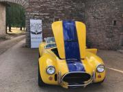 image_2-AC Cobra CMC V8 Ford 5 Litres - 1993