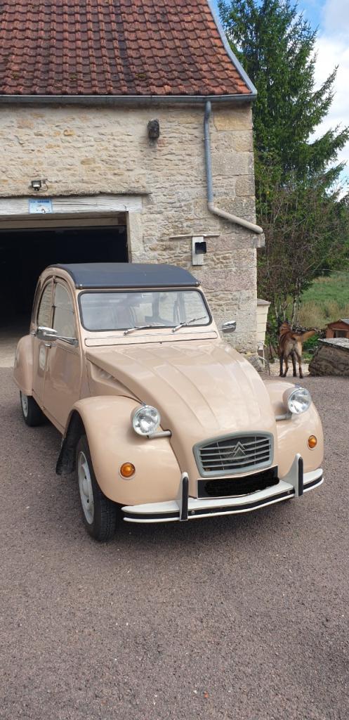 CITROEN 2CV 6 Spécial E - 1982 LesAnciennes.com