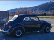 image_4-VOLKSWAGEN Coccinelle Cabriolet Karmann - 1975