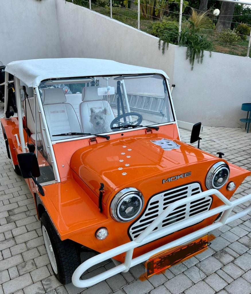 MINI MOKE - 1986 LesAnciennes.com
