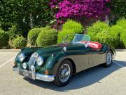 image_0-JAGUAR XK140 OTS - 1955