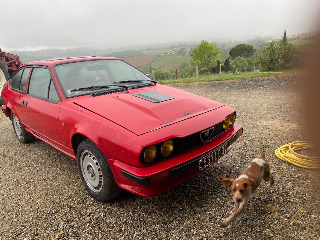 ALFA ROMEO GTV6 2.5 - 1981 LesAnciennes.com