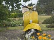 image_1-PIAGGIO Vespa GTR - 1973