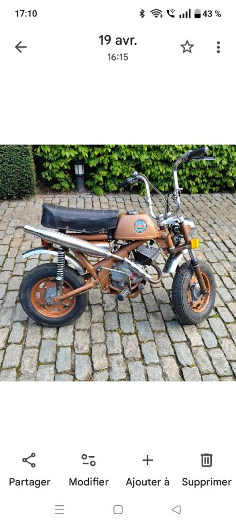 BENELLI Benelli mini cross 49cc - 1970 LesAnciennes.com