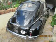 image_3-PEUGEOT 203 C - 1956