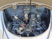 image_17-VOLKSWAGEN Coccinelle 11 Sedan Oval - 1954