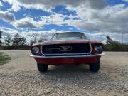 image_3-FORD Mustang coupe - 1967