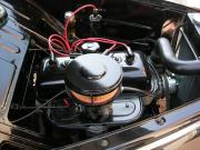image_4-PEUGEOT 203 C - 1956