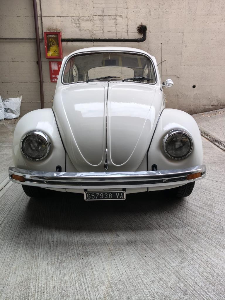1979 Volkswagen Beetle 1200 Square Window, foto 2