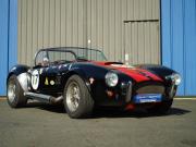image_5-AC Cobra Pilgrim - 1972