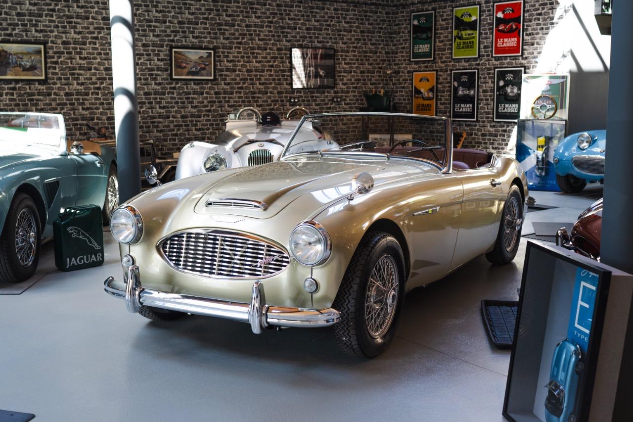 AUSTIN HEALEY 3000 BT7 - 1964 LesAnciennes.com