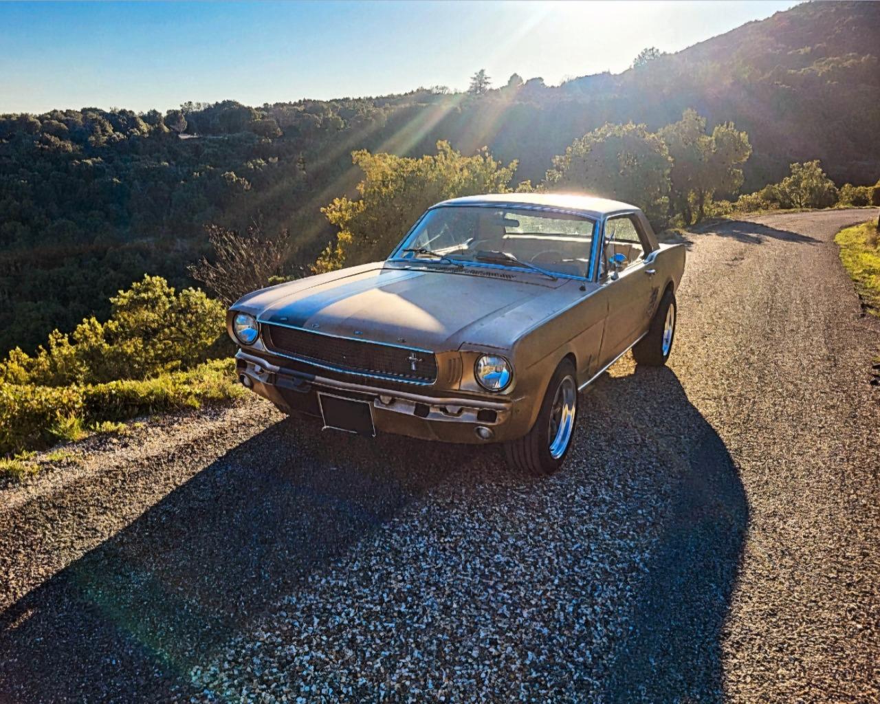 FORD Mustang - 1966 LesAnciennes.com