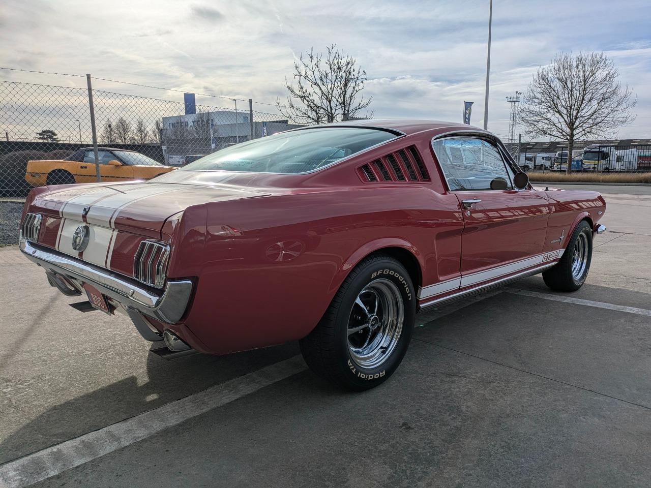 FORD Mustang Fastback 2+2 GT289 - 1966 LesAnciennes.com