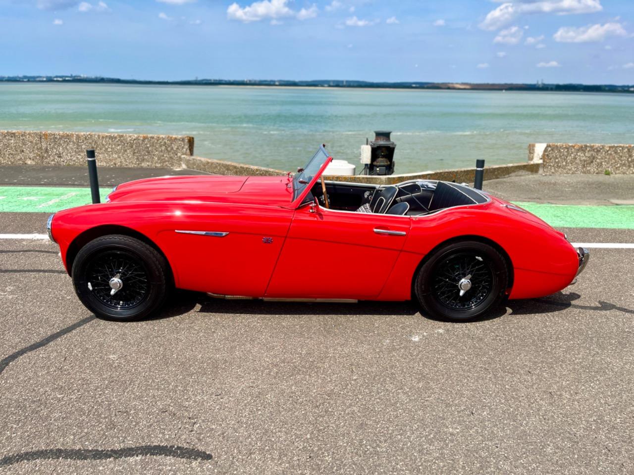 AUSTIN HEALEY 100 BN4 - 1958 LesAnciennes.com