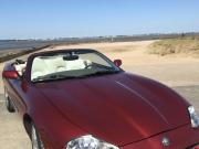 image_0-JAGUAR XK8 4L 294 - 1998