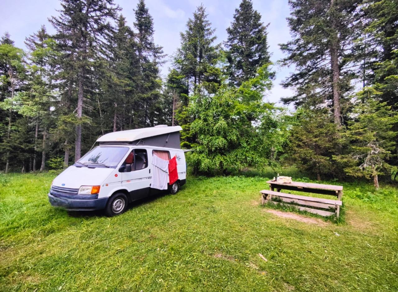 FORD Transit Nugget vasp van - 1988 LesAnciennes.com