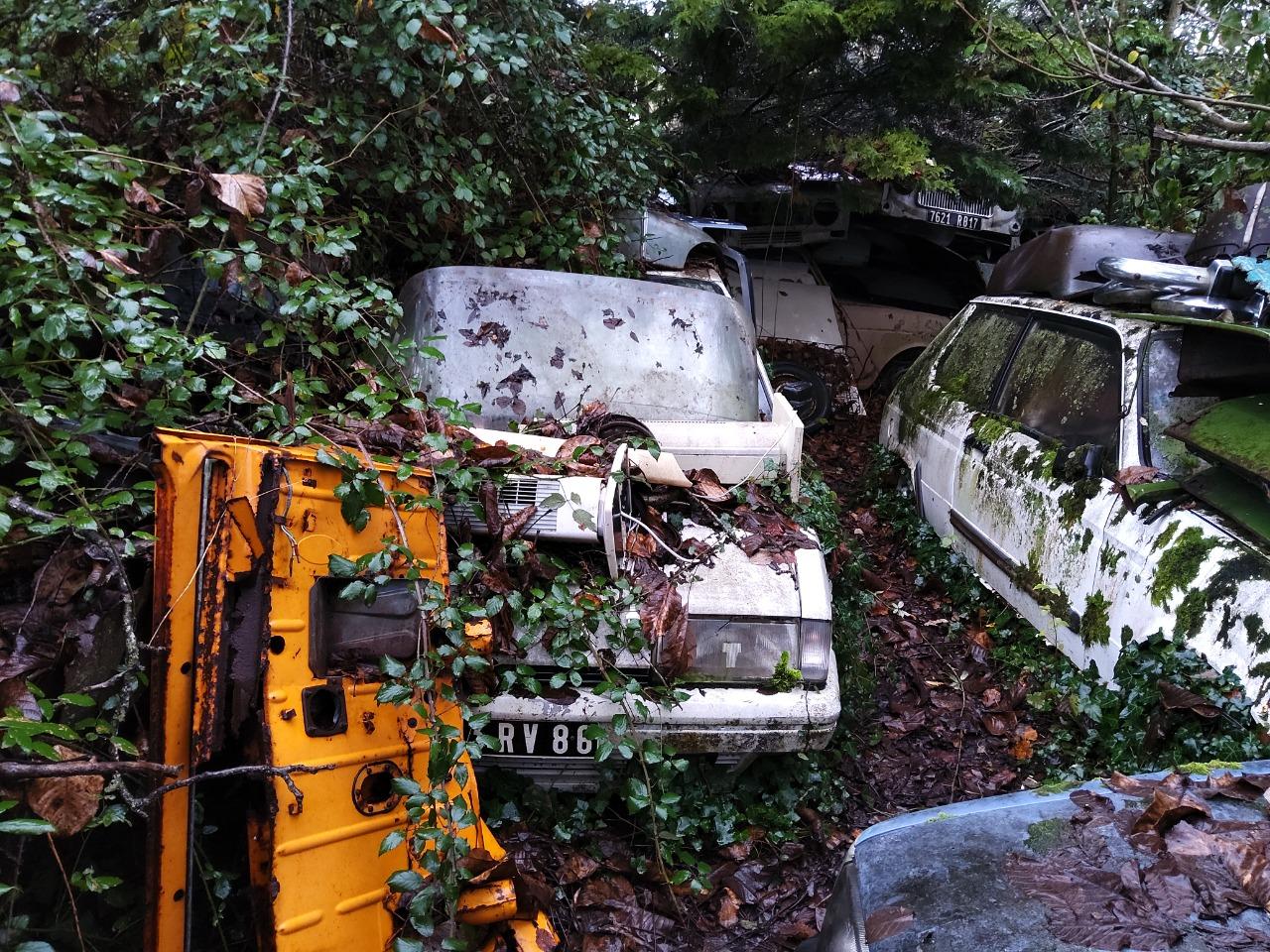 Pièces CITROEN BX TRD TURBO LesAnciennes.com