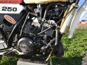 image_2-YAMAHA YZ 250 - 1982