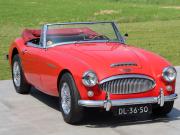 image_5-AUSTIN HEALEY 3000 MkIII - 1964