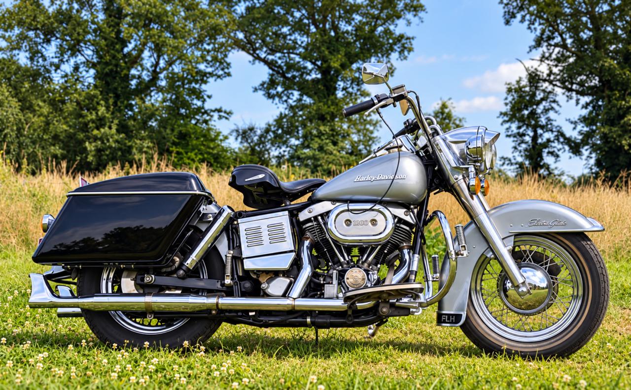 1976 Harley Davidson FLH 1200 dutch registration matching nu LesAnciennes.com
